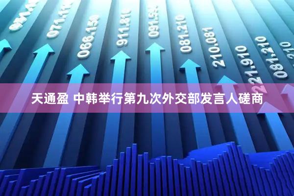 天通盈 中韩举行第九次外交部发言人磋商